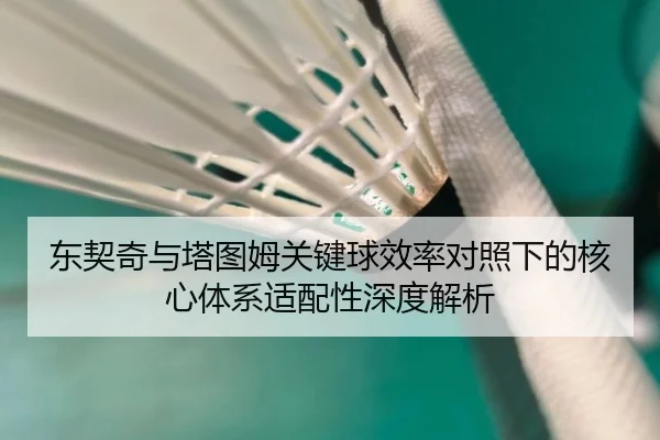 东契奇与塔图姆关键球效率对照下的核心体系适配性深度解析